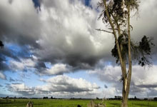 开云体育-包含华克竞技客场不敌，保级形势愈发严峻的词条